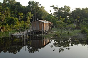 070926_108amazonia.JPG