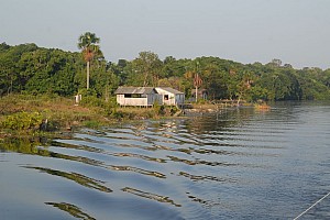 070926_116amazonia.JPG