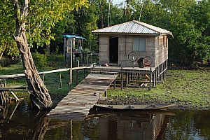 070926_126amazonia.JPG