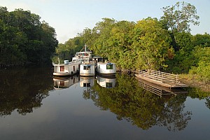 070926_133amazonia.JPG