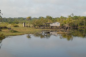 070926_135amazonia.JPG