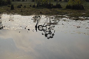 070926_136amazonia.JPG