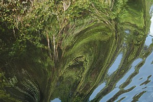070926_143amazonia.JPG