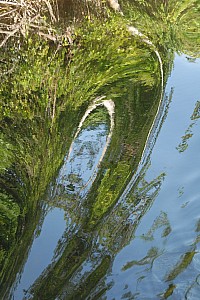070926_145amazonia.JPG