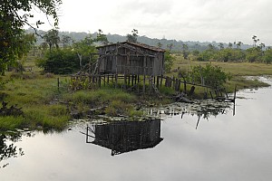 070926_147amazonia.JPG