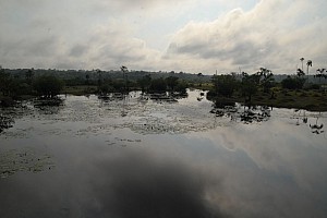 070926_148amazonia.JPG