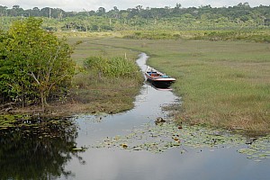 070926_150amazonia.JPG