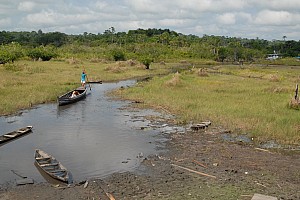 070926_166amazonia.JPG