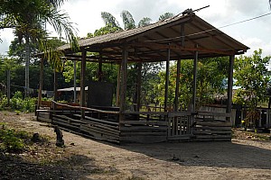 070926_167amazonia.JPG