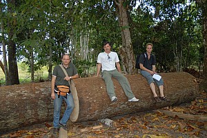 070926_168amazonia.JPG