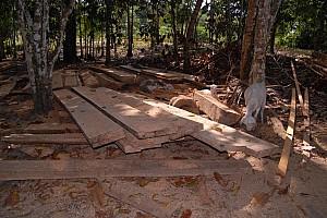 070926_169amazonia.JPG