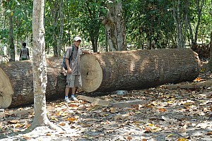 070926_195amazonia.JPG