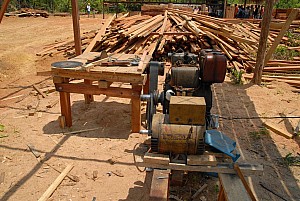 070926_205amazonia.JPG