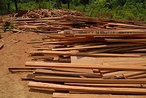 070926_209amazonia.JPG