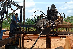 070926_216amazonia.JPG