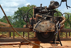 070926_218amazonia.JPG