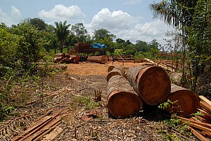 070926_228amazonia.JPG