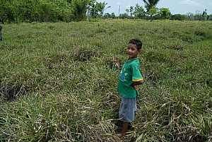 070926_230amazonia.JPG
