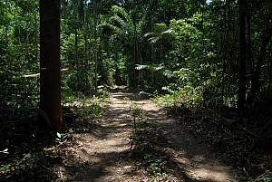 070926_238amazonia.JPG