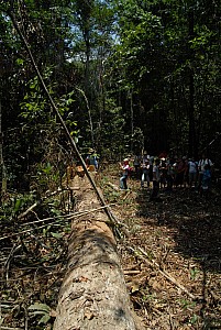 070926_249amazonia.JPG
