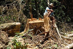 070926_252amazonia.JPG