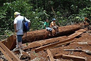 070926_253amazonia.JPG