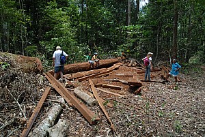 070926_254amazonia.JPG