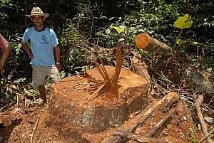 070926_256amazonia.JPG