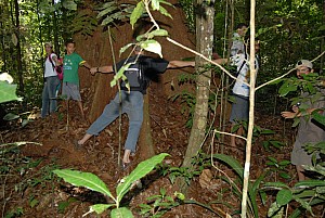 070926_263amazonia.JPG
