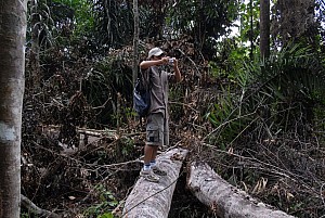 070926_283amazonia.JPG