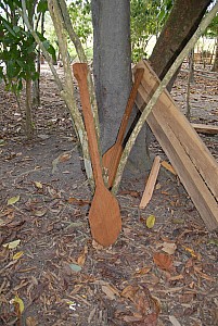 070926_322amazonia.JPG