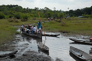 070926_339amazonia.JPG
