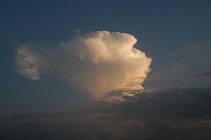 070926_352amazonia.JPG