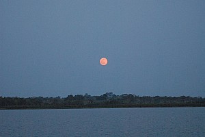 070926_362amazonia.JPG