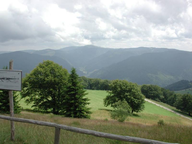 fomaso010717_009.jpg