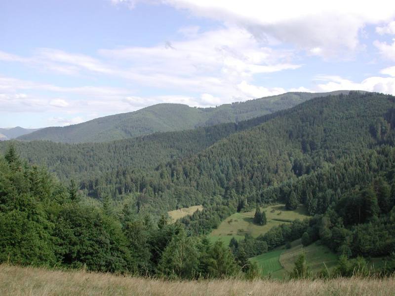 fomaso010717_020.jpg