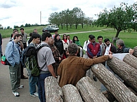fomaso010716_004.jpg