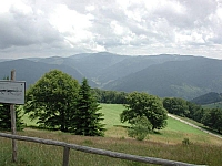 fomaso010717_009.jpg