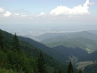 fomaso010717_011.jpg