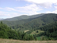 fomaso010717_020.jpg