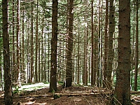 fomaso010718_029.jpg