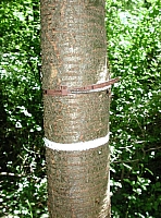 fomaso010719_005.jpg