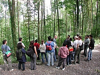 fomaso010719_020.jpg