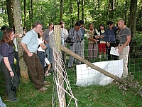 fomaso010726_003.jpg