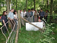 fomaso010726_006.jpg