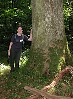 fomaso010726_013.jpg