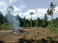 fomaso010726_021.jpg