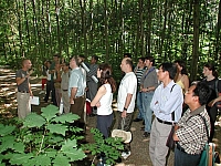 fomaso010726_042.jpg