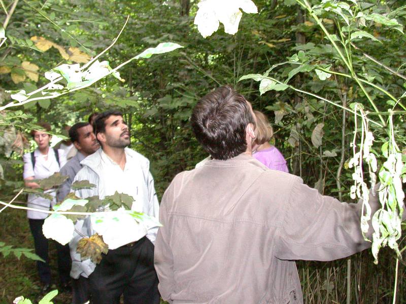 020726_057.jpg