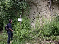 020722_043.JPG